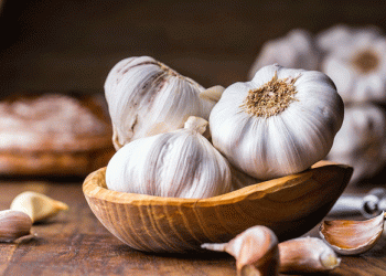 Promising Garlic Season in La Mancha to Offset Recent Losses