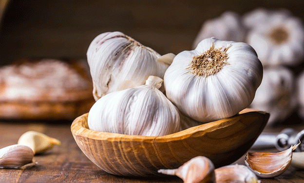 Promising Garlic Season in La Mancha to Offset Recent Losses