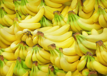 Strategies for a Sustainable Future: The Canary Islands’ Banana Sector Adapts to Uncertainty