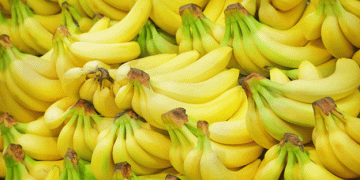 Strategies for a Sustainable Future: The Canary Islands’ Banana Sector Adapts to Uncertainty
