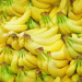 Strategies for a Sustainable Future: The Canary Islands’ Banana Sector Adapts to Uncertainty