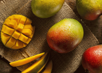 Spain’s Rising Dominance in Mango Imports