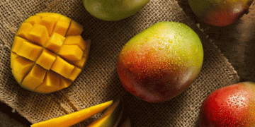 Spain’s Rising Dominance in Mango Imports