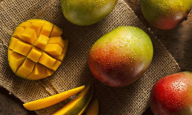 Spain’s Rising Dominance in Mango Imports