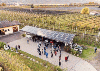 Interpoma Tours 2024: Hands-On Best Practices in Apple Cultivation