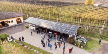 Interpoma Tours 2024: Hands-On Best Practices in Apple Cultivation
