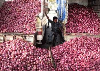 India Targets 27% Increase in Kharif Onion Acreage Amid Rising Prices