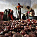 Government Increases Onion Procurement Prices by 74% in Maharashtra Ahead of State Elections