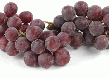 Despite Weather Challenges, Peru’s Table Grape Acreage Sees Slight Increase