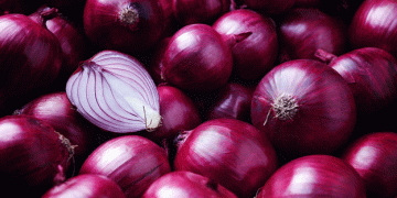 Surge in Peruvian Onion Exports: A Boon for the Agricultural Sector
