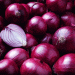 Surge in Peruvian Onion Exports: A Boon for the Agricultural Sector