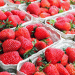 Strawberry Season Wraps Up with 8% Increase in Export Value Despite Production Decline
