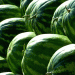 Spain vs. Competitors: A Comprehensive Comparison of Watermelon Production and Export in 2023