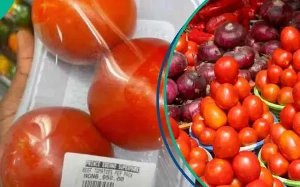 Nigerian Supermarket Faces Backlash Over Tomato Pricing Amid Scarcity Crisis