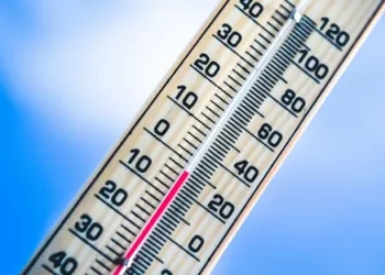 Severe Black Frost Ravages Limpopo Agriculture