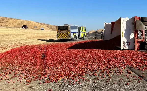Tomato Truck Accident on Interstate 5: Impact on California’s Tomato Supply Chain