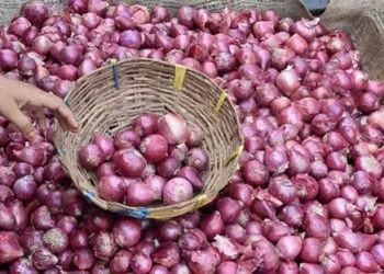 Government Procurement Boosts Onion Prices in Maharashtra