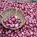 Government Procurement Boosts Onion Prices in Maharashtra