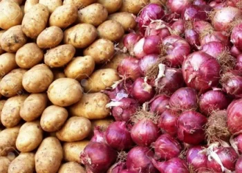 Bangladesh Resumes Onion and Potato Imports to Stabilize Market Prices