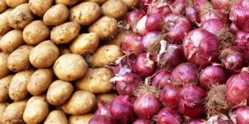 Bangladesh Resumes Onion and Potato Imports to Stabilize Market Prices