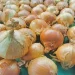 Surge in Demand for Fresh Onions in Papua New Guinea Boosts Local Agriculture