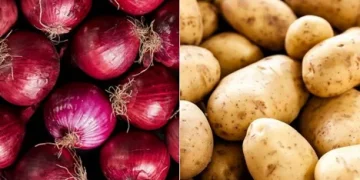 Government Initiatives to Stabilize Onion and Potato Prices