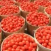 Tomato Prices Surge in Nigeria: Factors and Implications