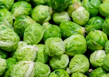Brussels Sprouts Reclaim Popularity as Australia’s Best-Value Vegetable