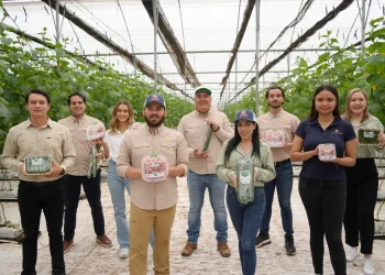 Divine Flavor Gears Up for the Organic Produce Summit 2024: A Look at Their Commitment to Organic Farming and New Developments