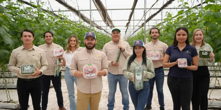 Divine Flavor Gears Up for the Organic Produce Summit 2024: A Look at Their Commitment to Organic Farming and New Developments