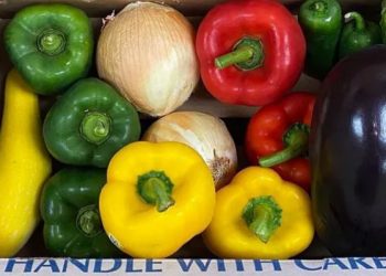 Floods and Heat Take Toll on East Coast Vegetable Production