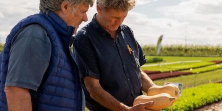 Enza Zaden’s Annual Melon and Pumpkin House Fair: Addressing Future Challenges with Innovative Portfolios