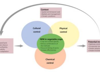 Integrated weed management in vegetable production