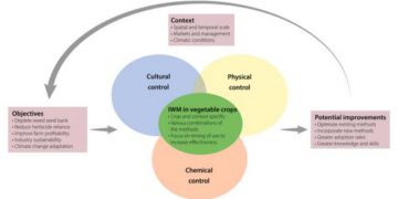 Integrated weed management in vegetable production