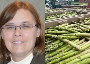 Michigan Asparagus Season Ends Early with Successful Marketing Push and Increased Sales