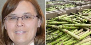 Michigan Asparagus Season Ends Early with Successful Marketing Push and Increased Sales