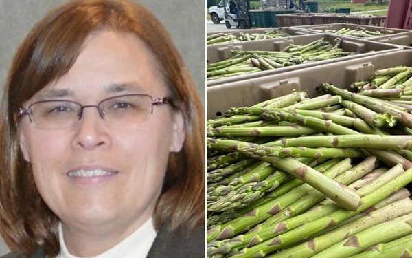 Michigan Asparagus Season Ends Early with Successful Marketing Push and Increased Sales