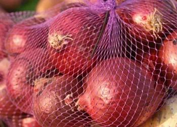 Indian Government Acquires 0.45 Million Tonnes of Onions to Stabilize Market Prices