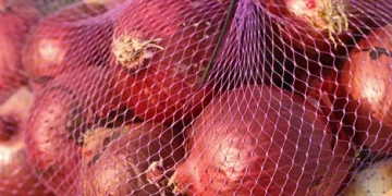 Indian Government Acquires 0.45 Million Tonnes of Onions to Stabilize Market Prices