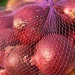 Indian Government Acquires 0.45 Million Tonnes of Onions to Stabilize Market Prices