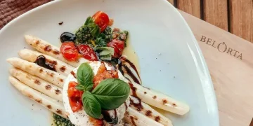 Challenging Transition from Greenhouse to Open Field Cultivation