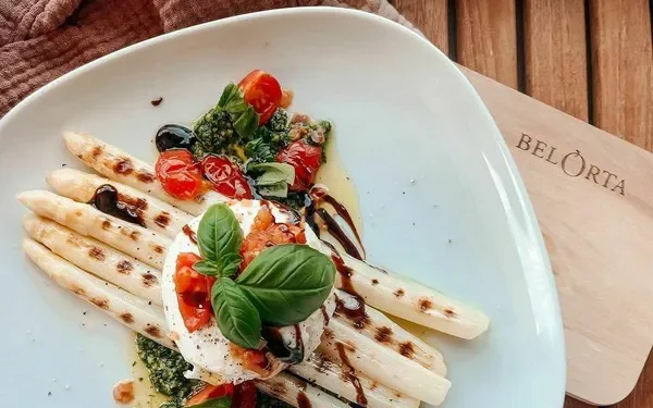 Challenging Transition from Greenhouse to Open Field Cultivation