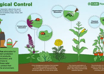 Biological control: major aspects