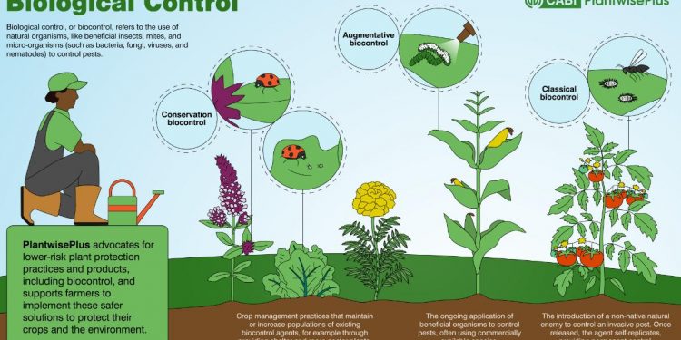 Biological control: major aspects