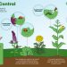 Biological control: major aspects