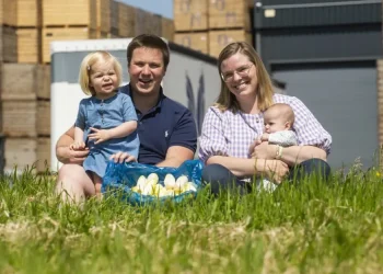 Challenges Ahead for Belgian Chicory Growers