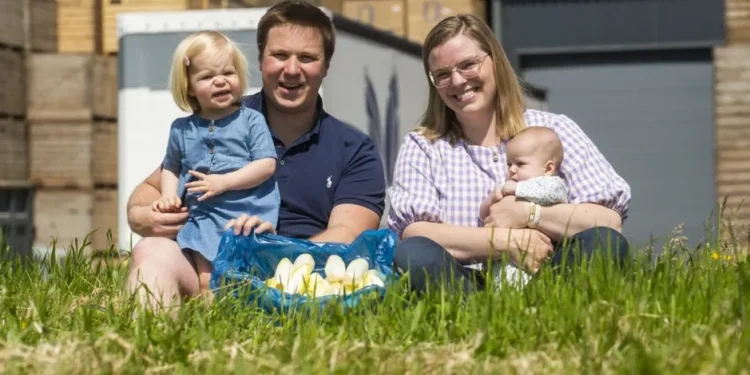 Challenges Ahead for Belgian Chicory Growers