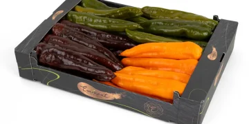 Introducing the Crunchino® Pointed Pepper: A New Star in the Pepper Market