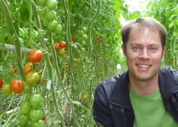 Organic Greenhouse Vegetable Market Faces Stagnant Demand and Production Challenges