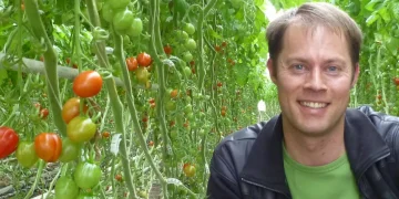 Organic Greenhouse Vegetable Market Faces Stagnant Demand and Production Challenges